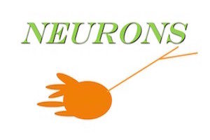 neurons 300