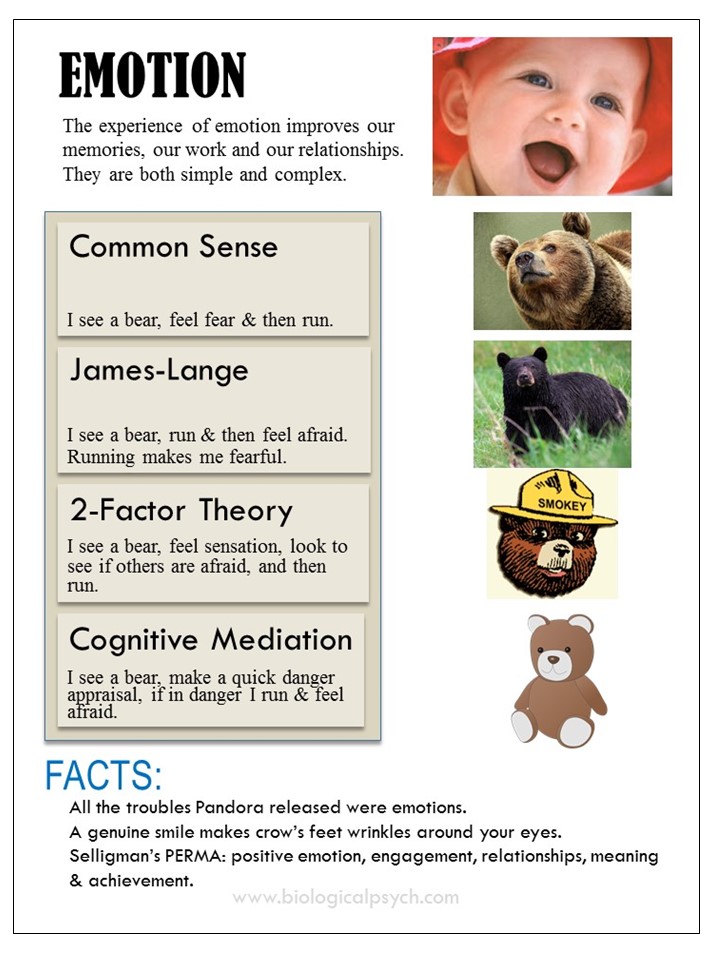 Infographic about Emotion