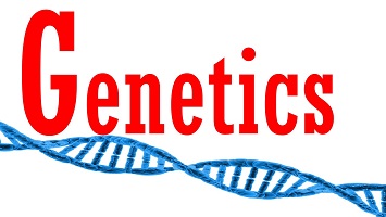 2. Biological Psych Genetics