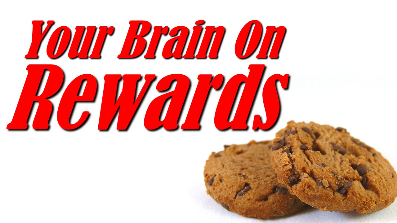 brain-reward-system-part-2-biologicalpsych